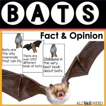 Preview of Bats Facts and Opinions
