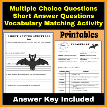 Bats: Fascinating Flying Mammals Reading Comprehension Packet | TPT