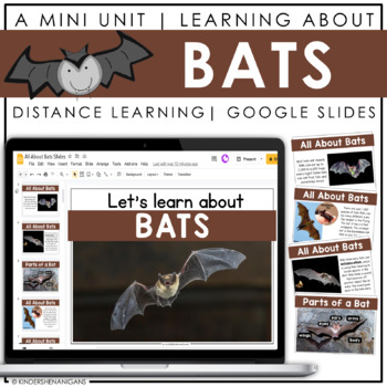 Preview of Bats | Google Slides