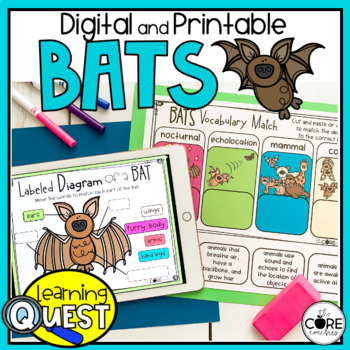 Preview of Bats Lesson Plans - Print and Digital All About Bats Activities