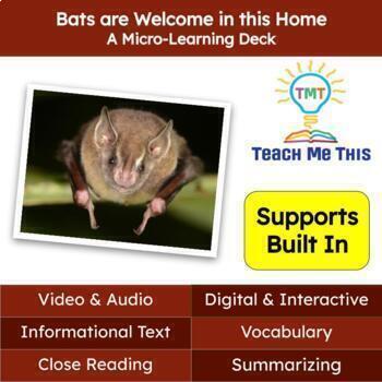 Preview of Bats Informational Text Reading Passage and Activities
