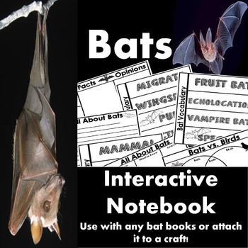 Preview of Bats Interactive Science Notebook Organizers Distance Learning