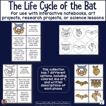 Preview of Bats Life Cycle Activities, Crafts, Worksheets & Printables - Animal Life Cycle