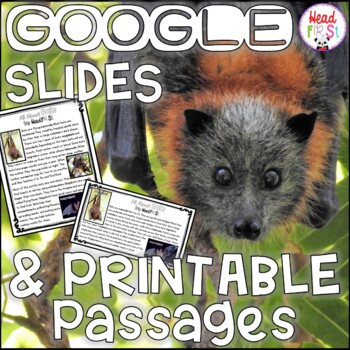 Preview of Bats NONFICTION Digital GOOGLE SLIDES and PRINTABLE Passages and Activities