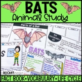 Bats | Nocturnal Animals | Mammals | Spooky Animals