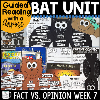 Preview of Bats Nonfiction Book Study Informational Text Reading Comprehension Fact Opinion