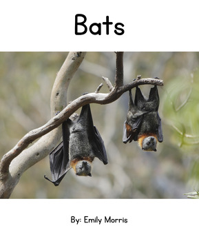 Preview of Bats - Nonfiction Decodable Reader - Digraphs, Trigraphs, and Consonant Blends