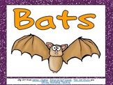Bats- Nonfiction Shared Reading- Level C Kindergarten