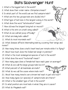 Bats - Scavenger Hunt Activity and KEY by Smart Chick | TpT