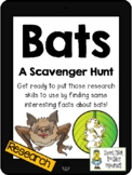 Bats - Scavenger Hunt Activity and KEY