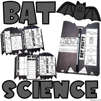Preview of Bats Science Interactive Activities