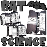 Bats Science Interactive Activities