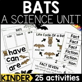Bats Science Lessons and Activities for Kindergarten