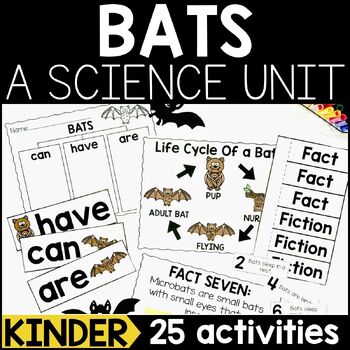 Preview of Bats: All About Bats: Bat Craft & Activities for Kindergarten | Bat Science Unit
