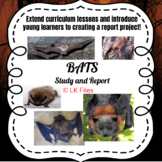 Bats - A Study and Report Project