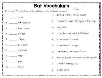 Bats Thematic Unit by Teaching Simply | Teachers Pay Teachers