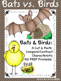 Bats Vs. Birds