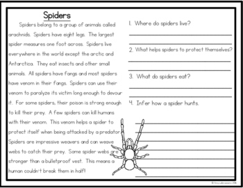 Bats Vs. Spiders: Who is the better hunter? by Amy Labrasciano | TPT