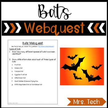Preview of Bats Webquest