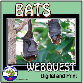 Preview of Bats Webquest with Easel Activity