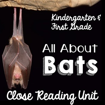 Preview of Bats an Informational Texts for Kindergarten & First Grade | Close Reading