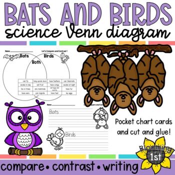 Preview of Bats and Birds Venn Diagram; Compare and Contrast - cut/glue