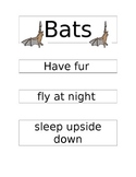 Bats and Birds Venn Diagram and more