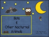 Bats and Other Nocturnal Animals