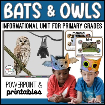 Preview of Bats and Owls Unit – Comparing Bats and Owls PowerPoint, Activities, and Craft