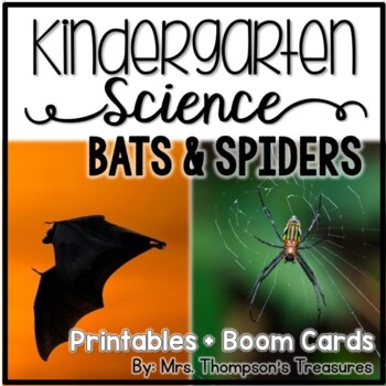 Preview of Bats and Spiders Kindergarten Science NGSS + Boom Cards™ Distance Learning