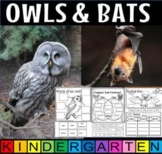 Bats and owls  (50% off for 48 hours)
