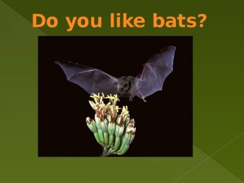 Preview of Bats, do you like bats?