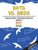 Preview of Bats vs. Birds After School Activity