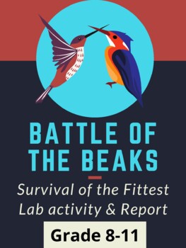 Preview of Battle of the Beaks | Lab Activity | Lab Report | Rubric | Evolution