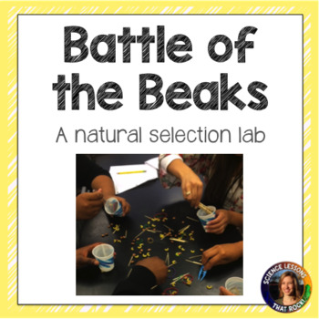 Preview of Beaks Lab Natural Selection Activity