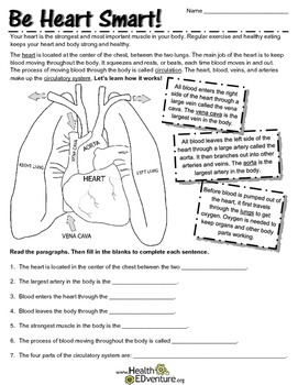 The Circulatory System: The Heart by Health EDventure | TpT