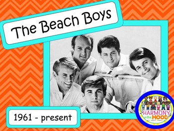 Preview of Beach Boys: Musicians in the Spotlight