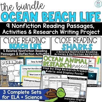 Preview of End of the Year Beach Day Sharks Reading Ocean Animal Research Project Report