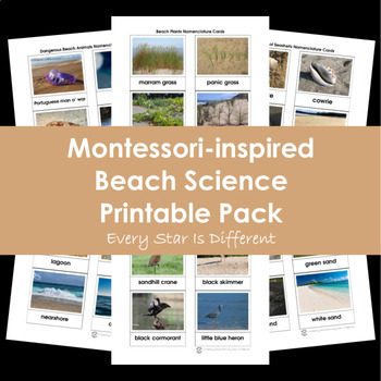 Preview of Beach Science Printable Pack