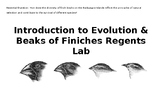 Beaks of Finch Slides