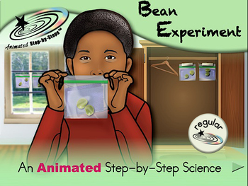Preview of Bean Experiment - Animated Step-by-Step Science Project - Regular