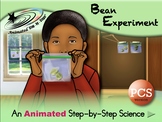 Bean Experiment - Animated Step-by-Step Science Project - PCS