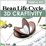 Bean Life Cycle | 3D Craftivity Booklet