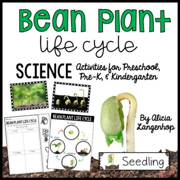 Preview of Bean Plant Life Cycle Preschool Spring Themed Science Center