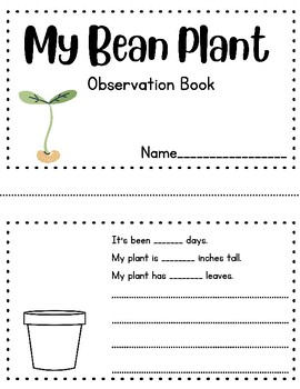 Preview of Bean Plant Observation Booklet - Plant Life Science