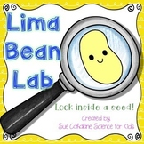 Lima Bean Lab {Aligns with NGSS:  K-LS1-1, K-ESS3-1,  2-LS2-1}