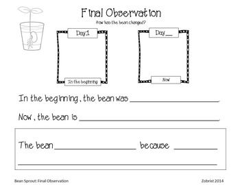 Bean Sprout Observation Book by Common Core Corner | TpT