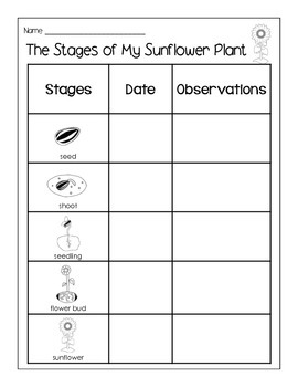 Plant Growth Chart Elementary