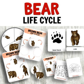 Preview of Bear Life Cycle Activities