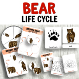 Bear Life Cycle Activities